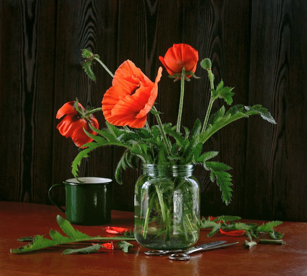 Photograph by Наталья Казанцева