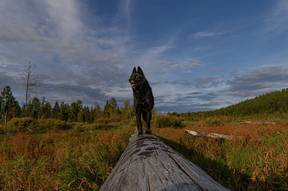 Photograph by Дмитрий Бухтик