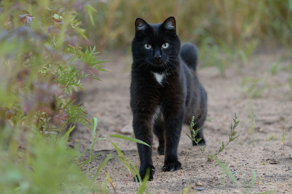 Photograph by Дмитрий Бухтик