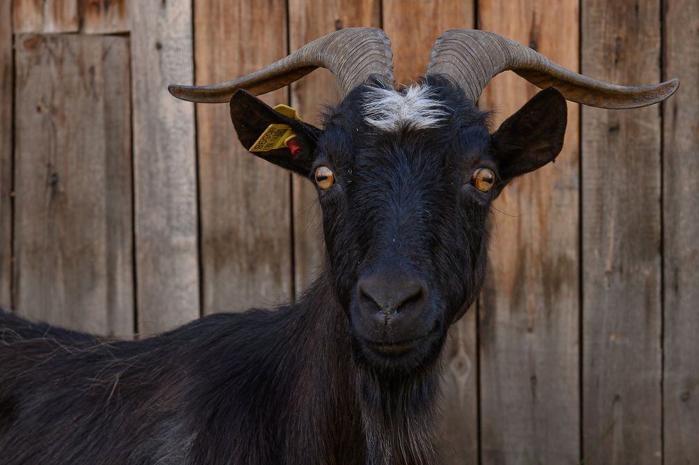 Photograph by Дмитрий Бухтик