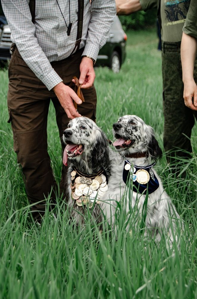Фотография автора Елена Ефименко