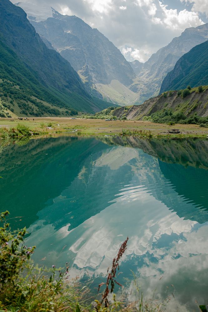 Фотография автора Елена Ефименко