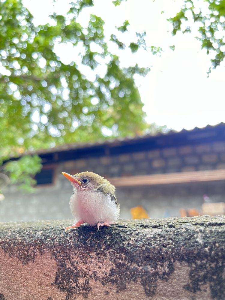 Photograph by Jeyachristy Jeyakumar
