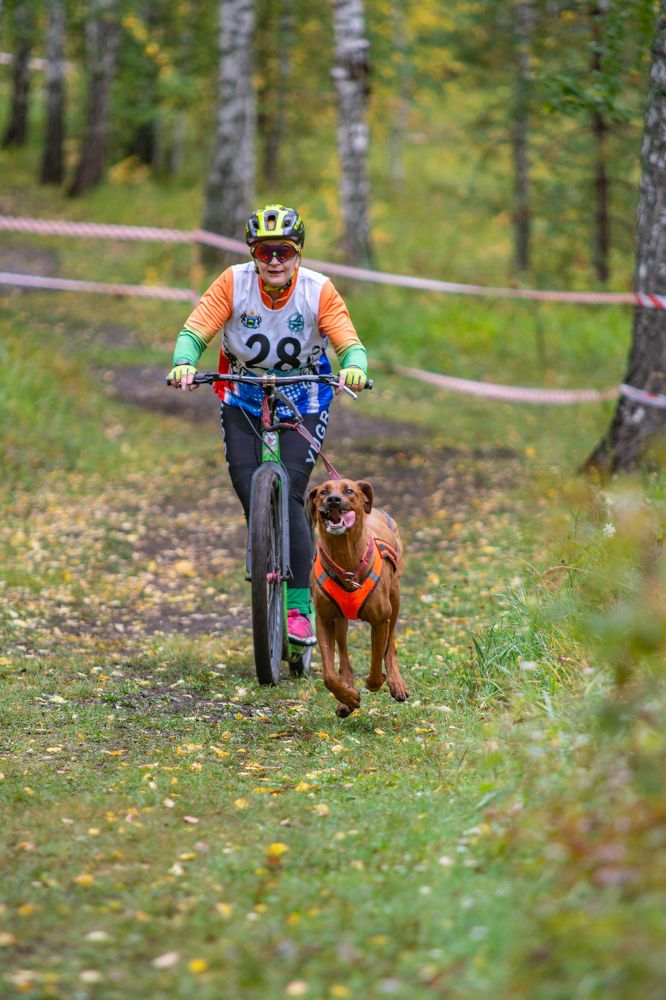 Photograph by Алёна Лозовая