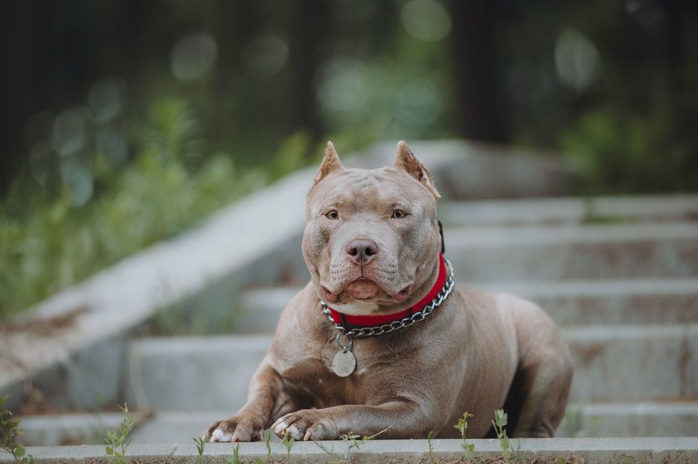 Фотография автора Анна