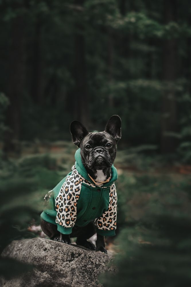 Photograph by Татьяна Степанова