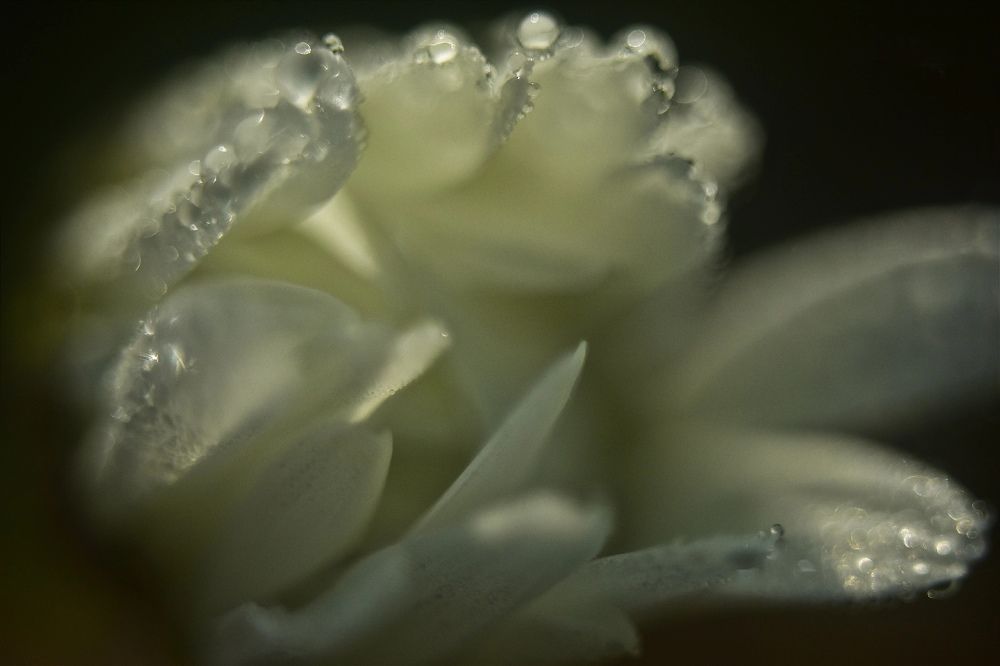 Пробуждение