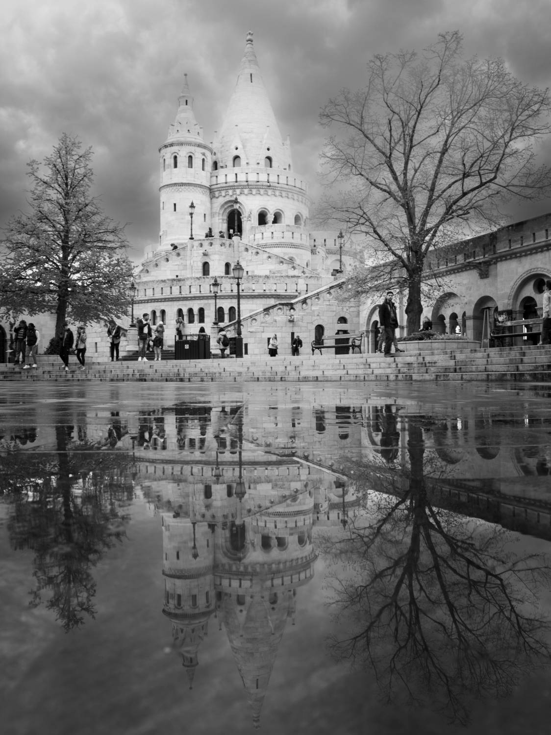 Photo #11398726