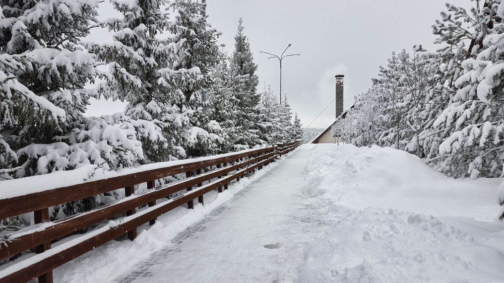 Photograph by Дудников Александр