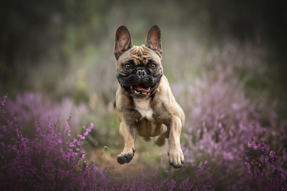 Photograph by Елена Самусенкова