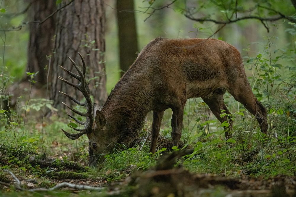 Photograph by Hubert Mielnik