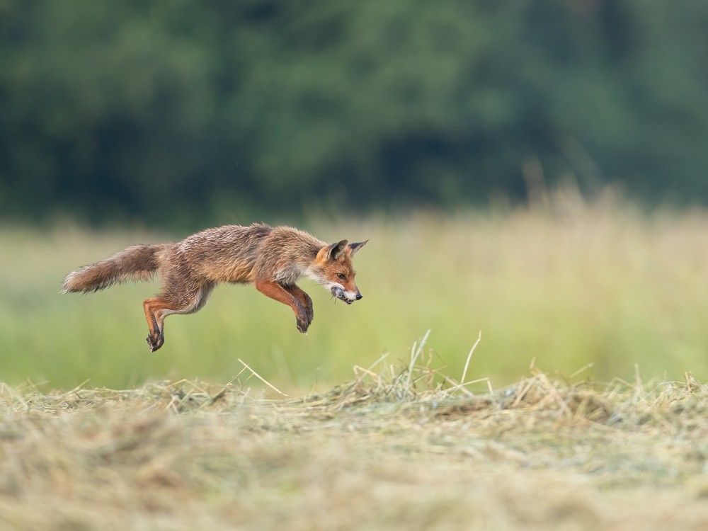 Photograph by Hubert Mielnik