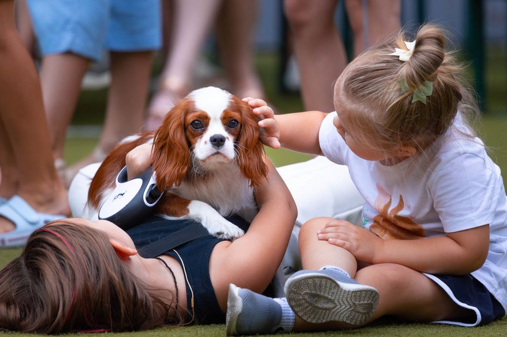 Photograph by Антон Скоморохов