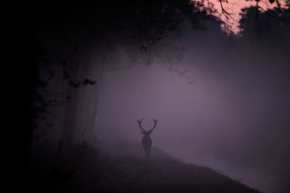 Photograph by Hubert Mielnik