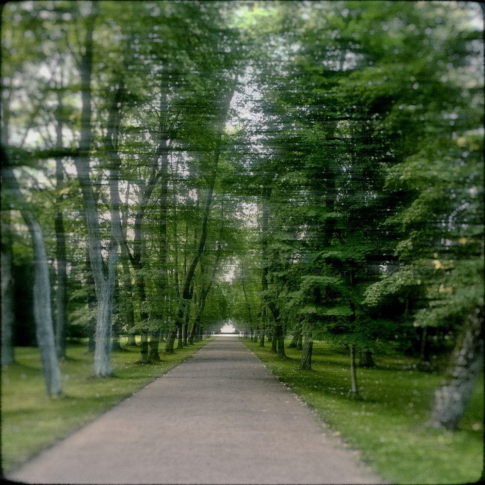 Photograph by Анастасия Щербакова