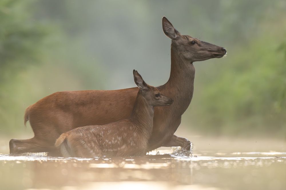 Photograph by Hubert Mielnik