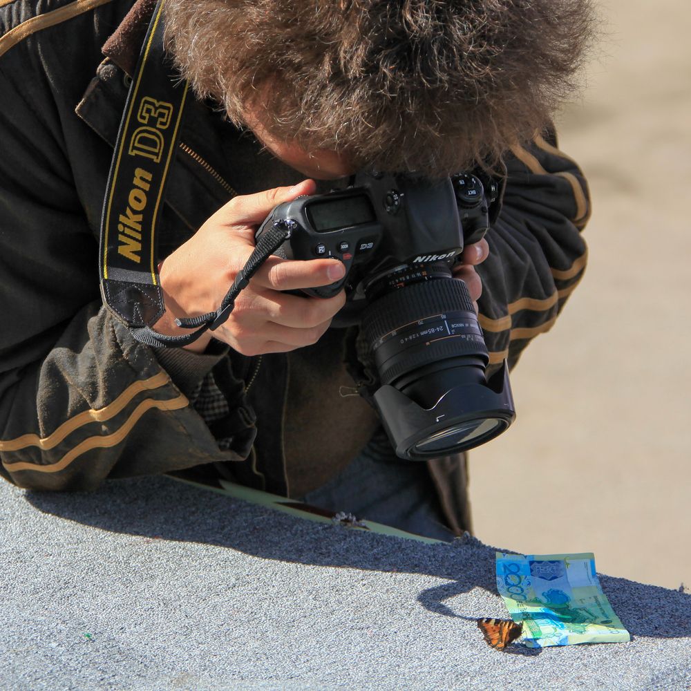 Фотография автора Владимир Пронин