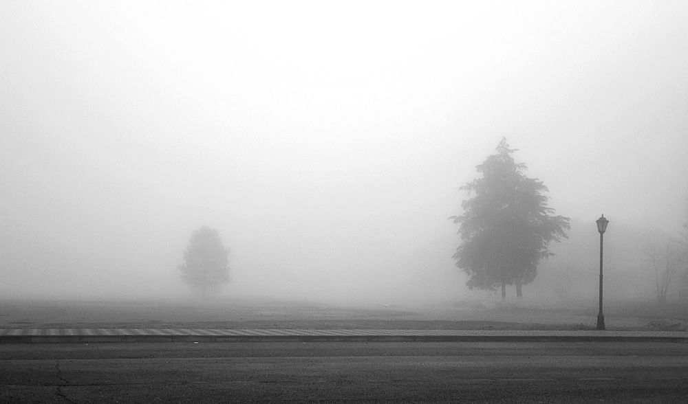 Photograph by Метушова Анна