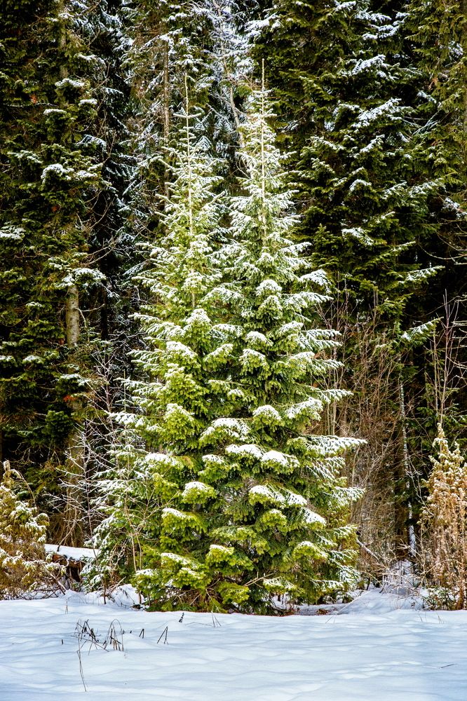 Photograph by Дмитрий Пасынков