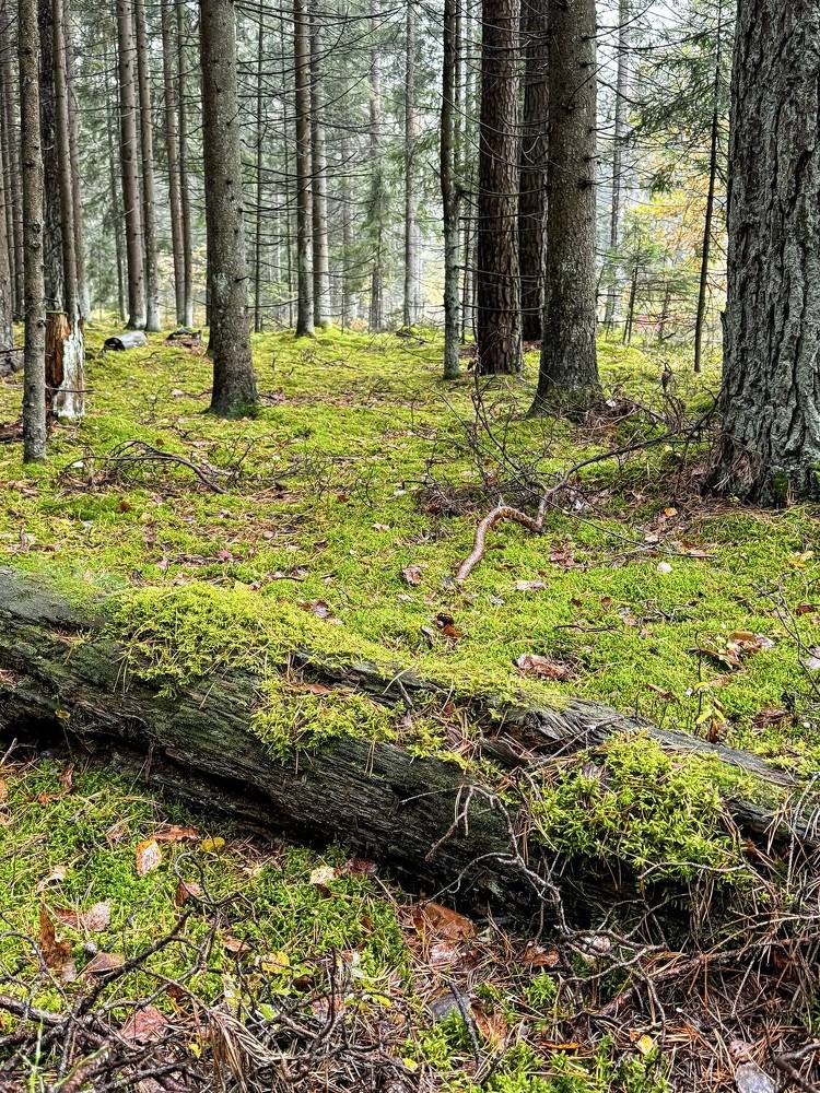 Photograph by Сергей Аверченко