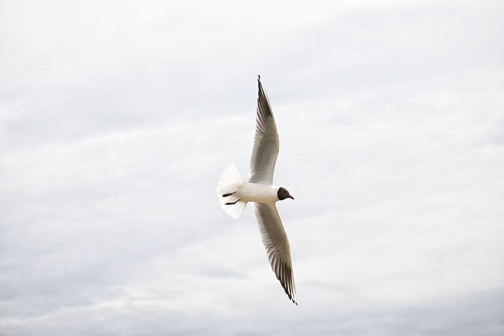 Фотография автора Olga Shchetinina