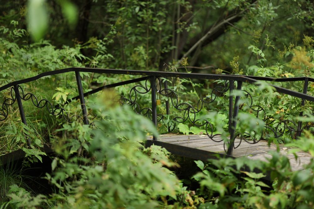 Photograph by Бальзирова Наталья