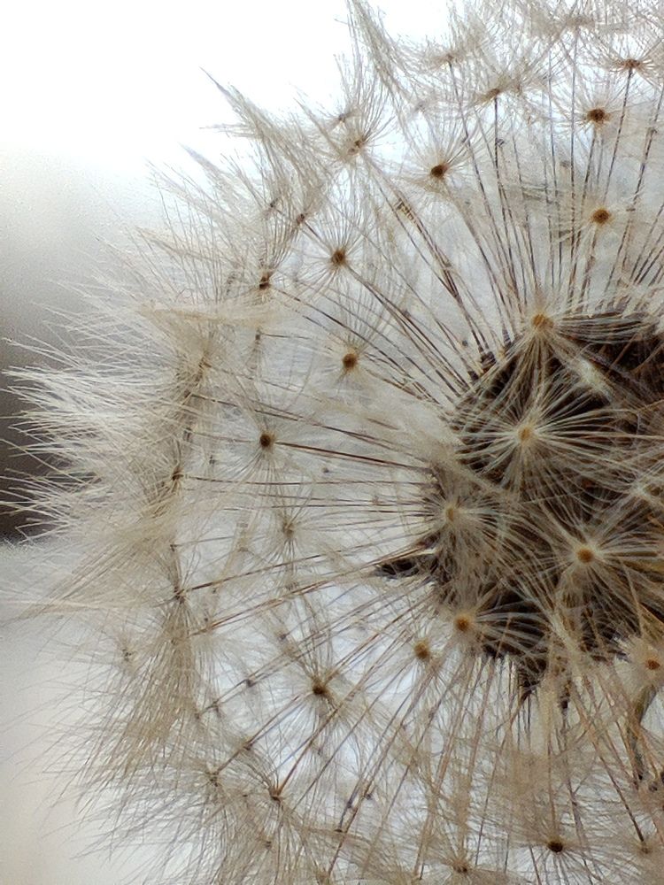 Photograph by Олеся Хижко