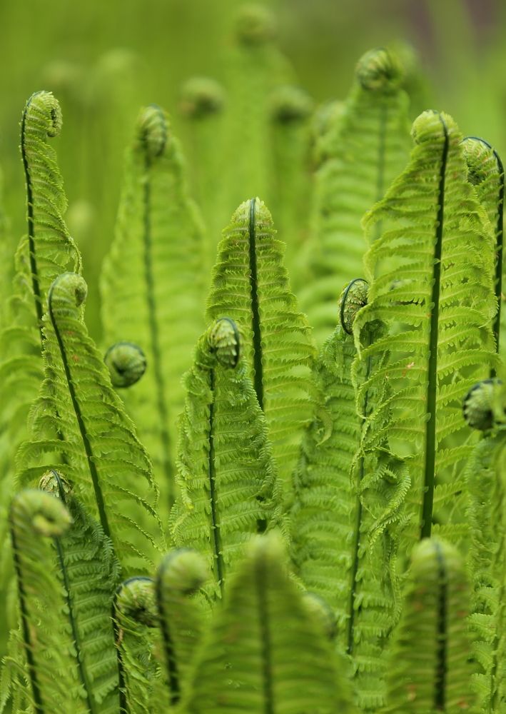 Photograph by Унку Юрий