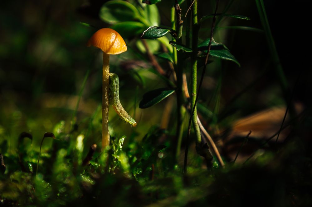 Photograph by Дмитрий Пасынков