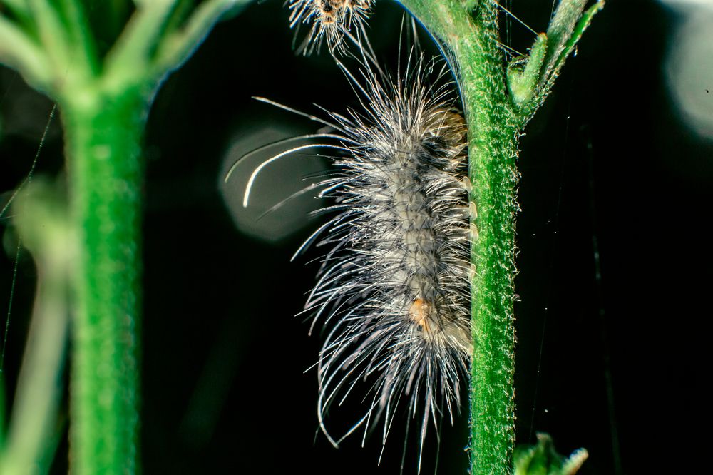 Photograph by Дмитрий Пасынков