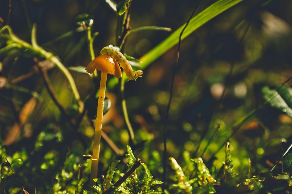 Photograph by Дмитрий Пасынков