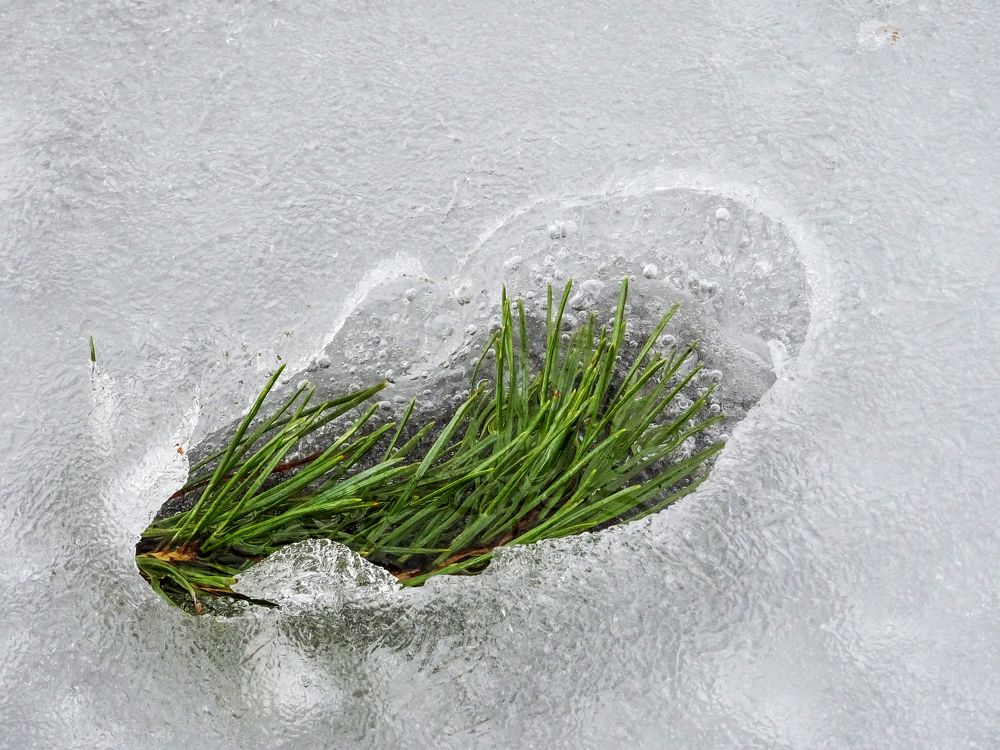 Фотография автора Ольга Лихтарь