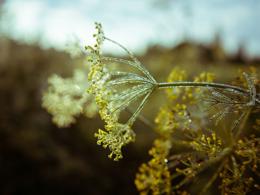 Photograph by Татьяна Кучерова