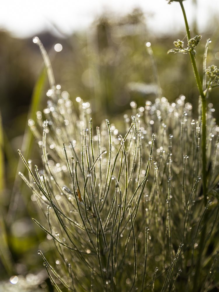 Photograph by Татьяна Кучерова