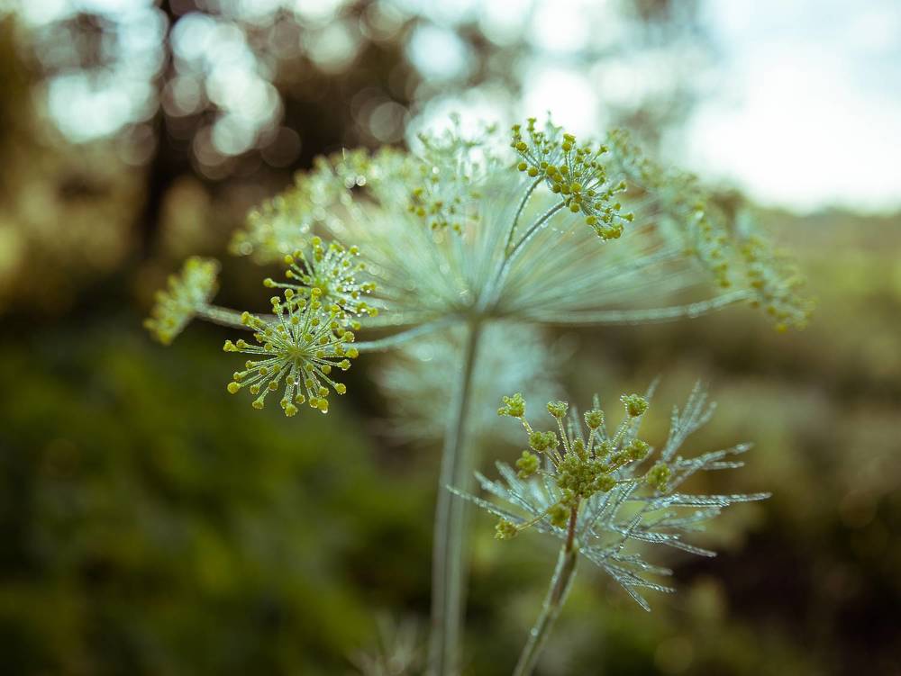 Photograph by Татьяна Кучерова