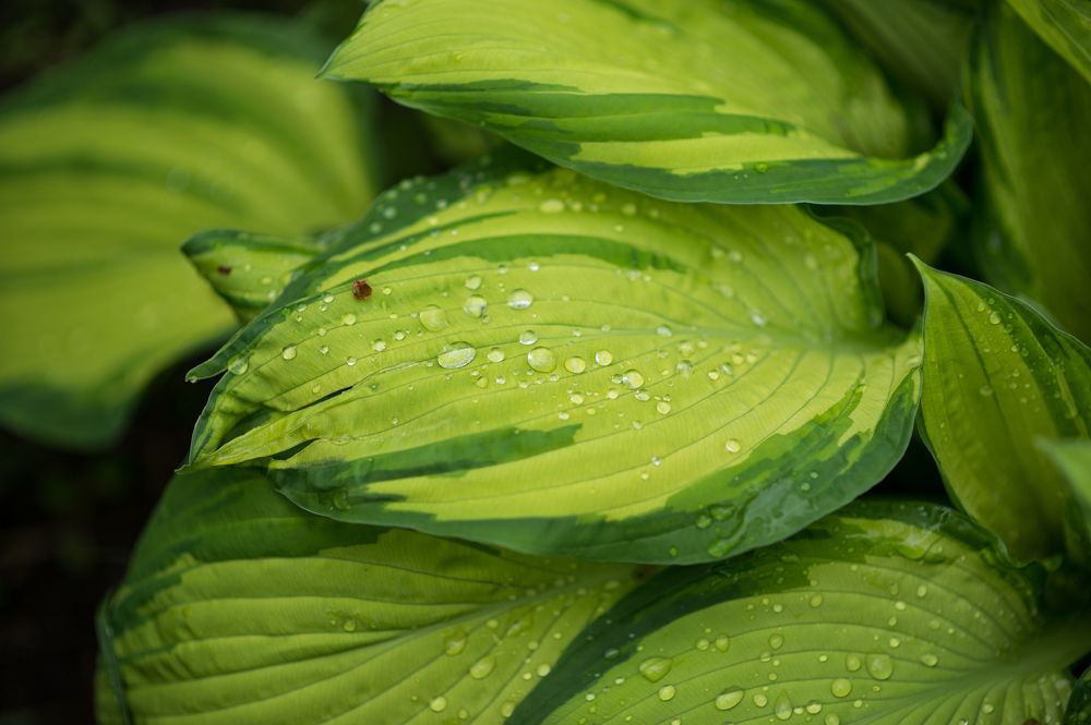 Photograph by Алексей Вяткин