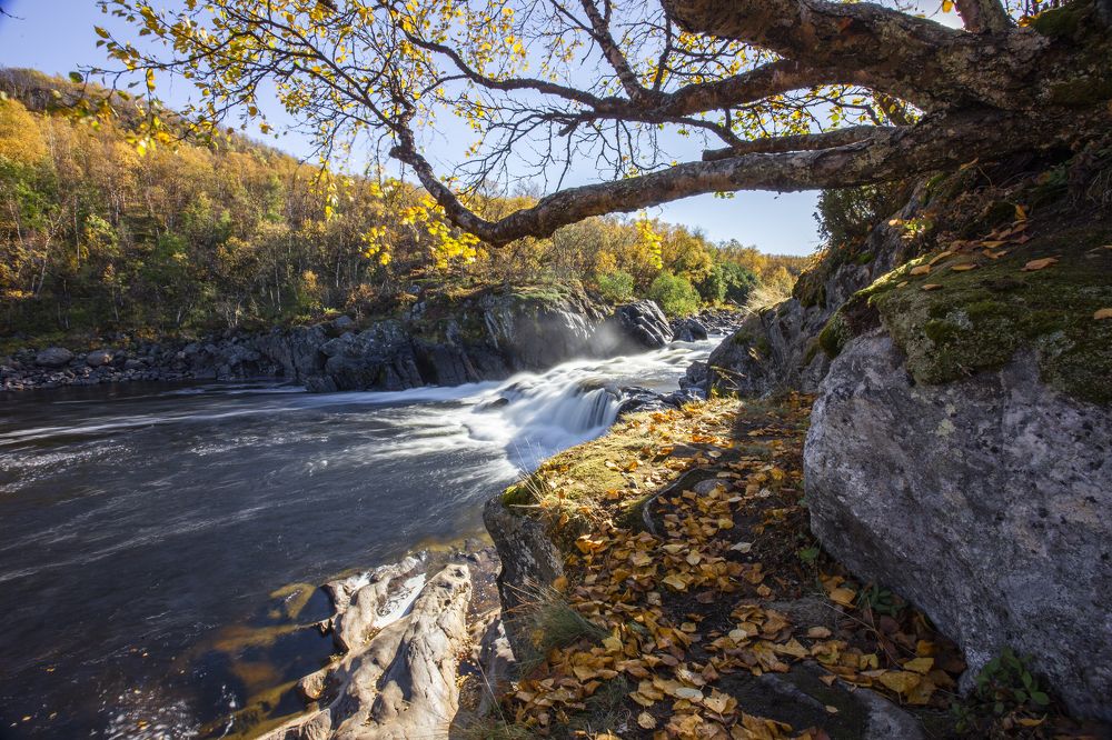 Photograph by ЕВГЕНИЙ СКАЛОЗУБОВ