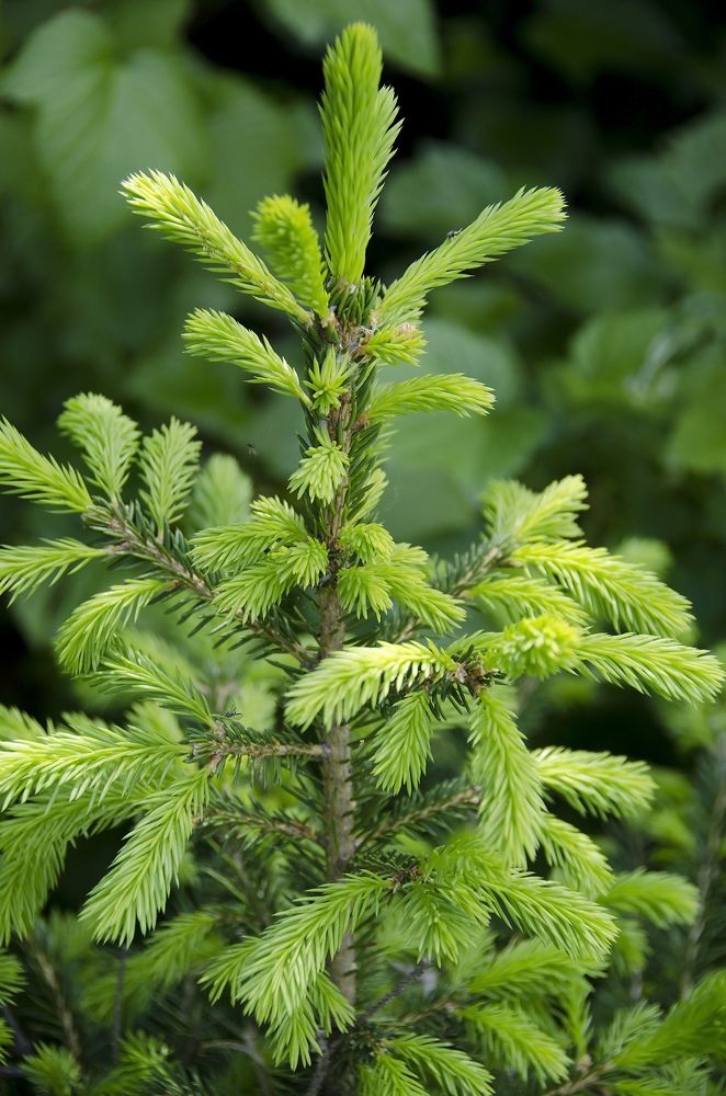 Photograph by Алексей Вяткин