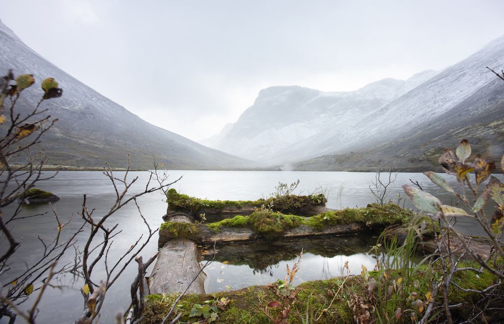 Photograph by ЕВГЕНИЙ СКАЛОЗУБОВ