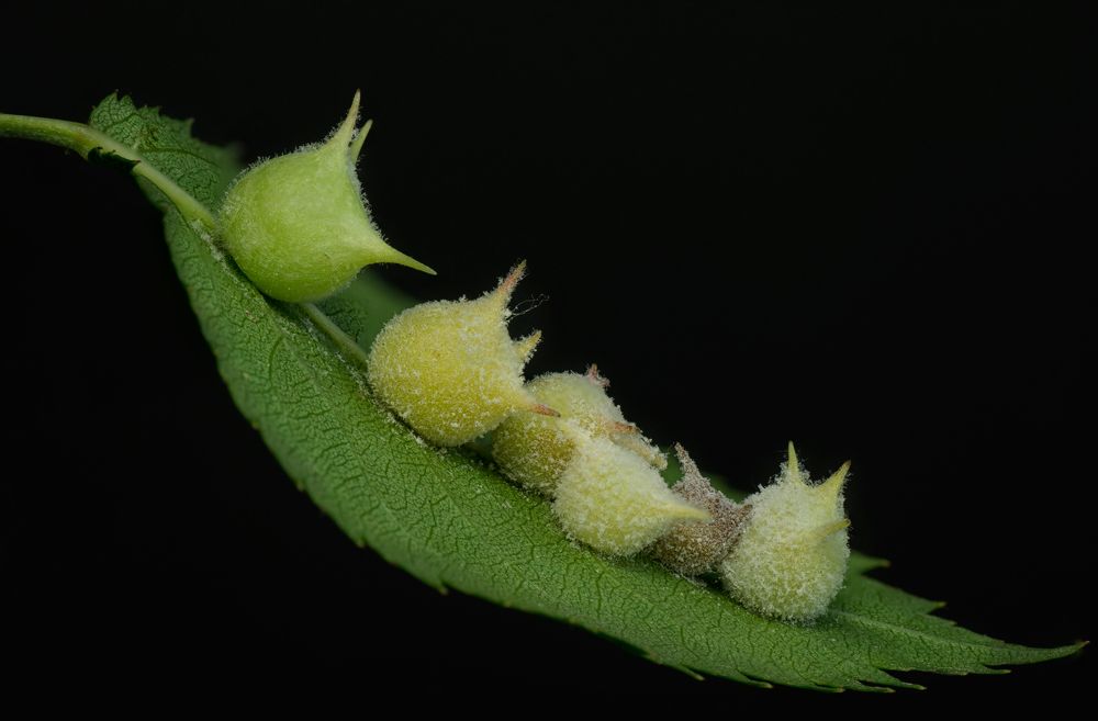 Photograph by Тараненко Анжелика