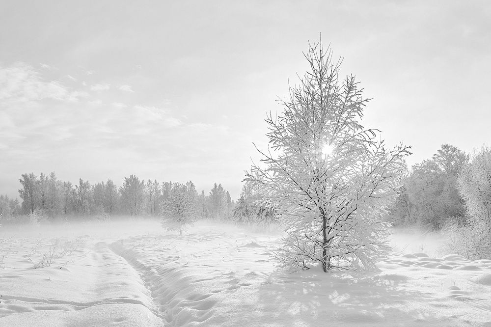 Photograph by Юрий Спасенников