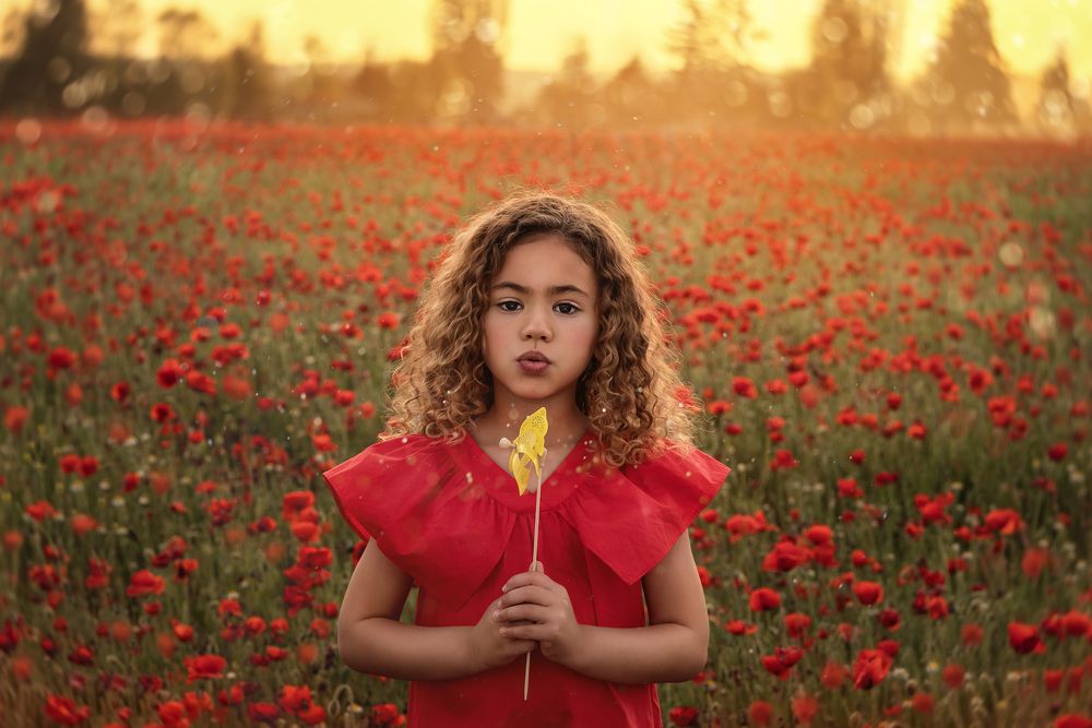 Фотография автора beatriz ostos