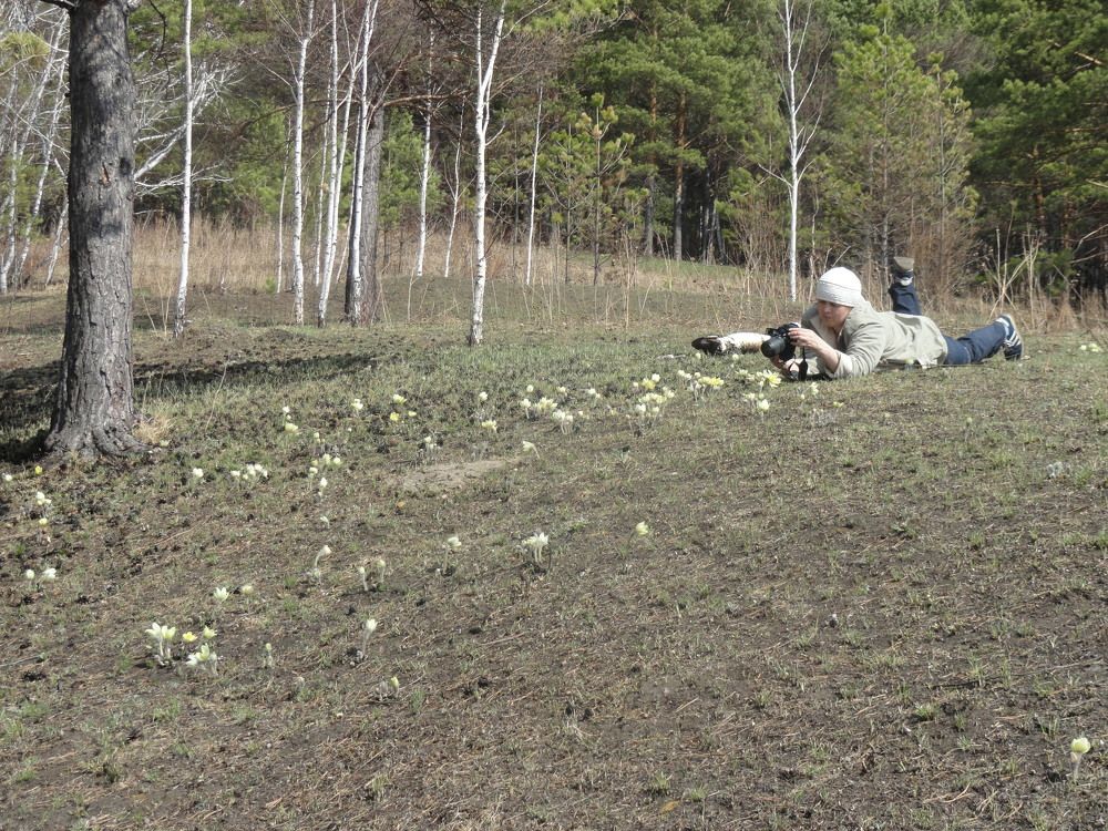 Photograph by Людмила Воропаева