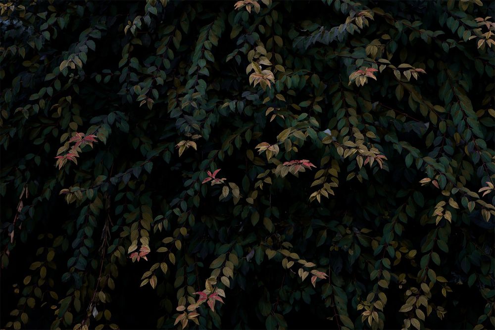 Photograph by Калюжина Татьяна