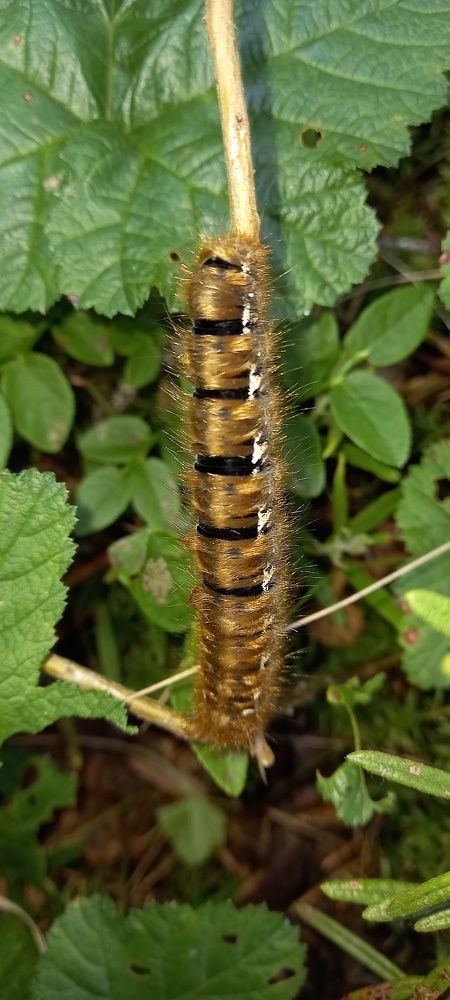 Photograph by Анастасия Бородина