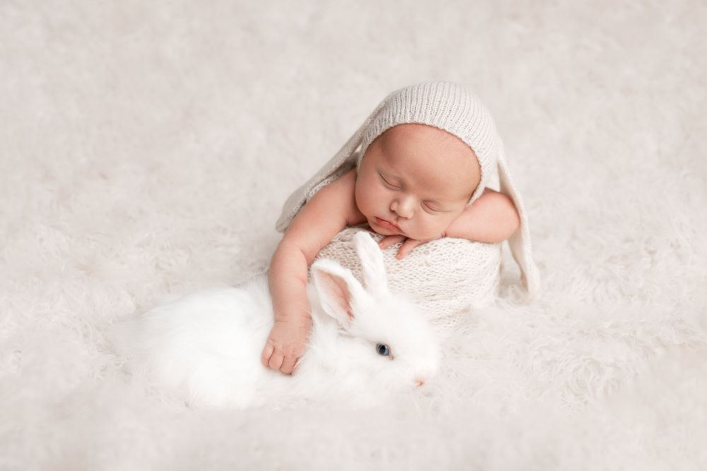 Photograph by Мария Немолот