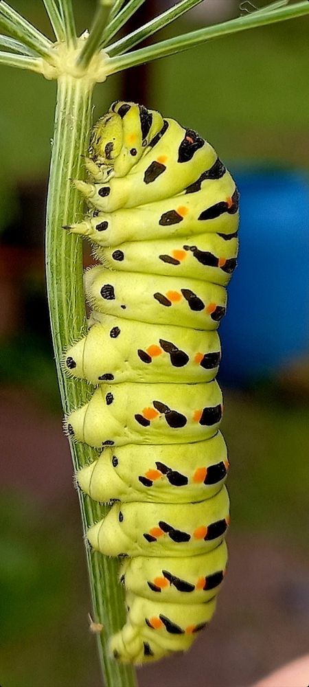 Photograph by Анастасия Бородина