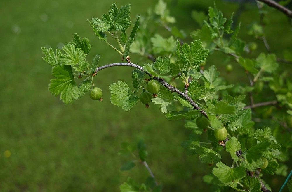 Photograph by Ксения