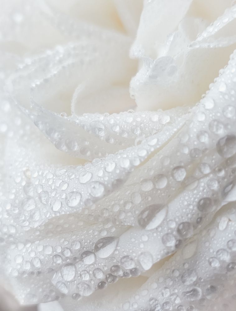 Photograph by Анна Чичилова