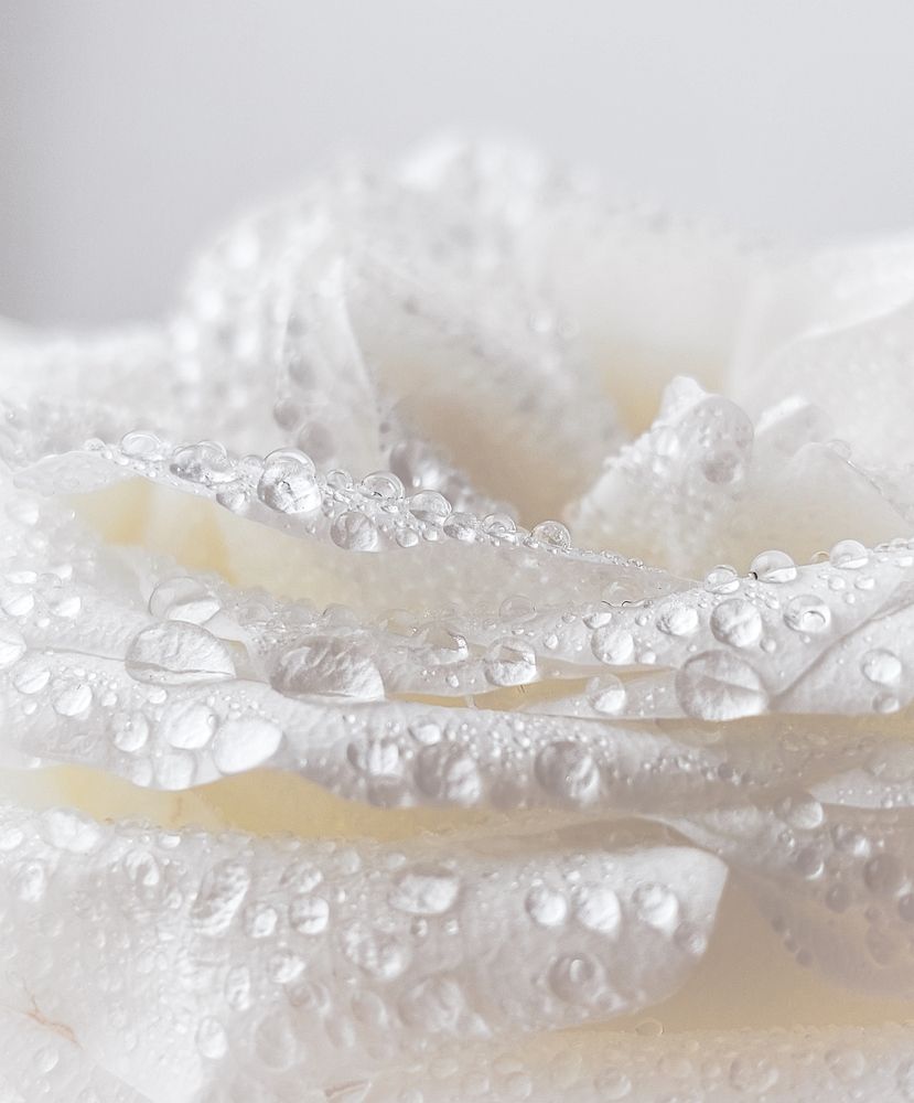 Photograph by Анна Чичилова